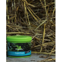 Parisol Żel chłodzący Super Cool 500 ml Parisol Żel chłodzący Super Cool 500 ml
